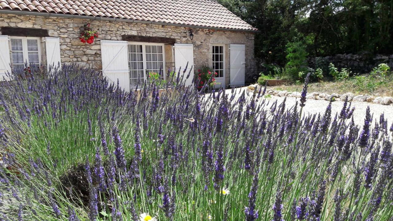 Les Vitarelles En Quercy Bed & Breakfast Berganty Exterior photo